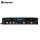 D2-4500 dsp digital power amplifier 4500 watts for subwoofer