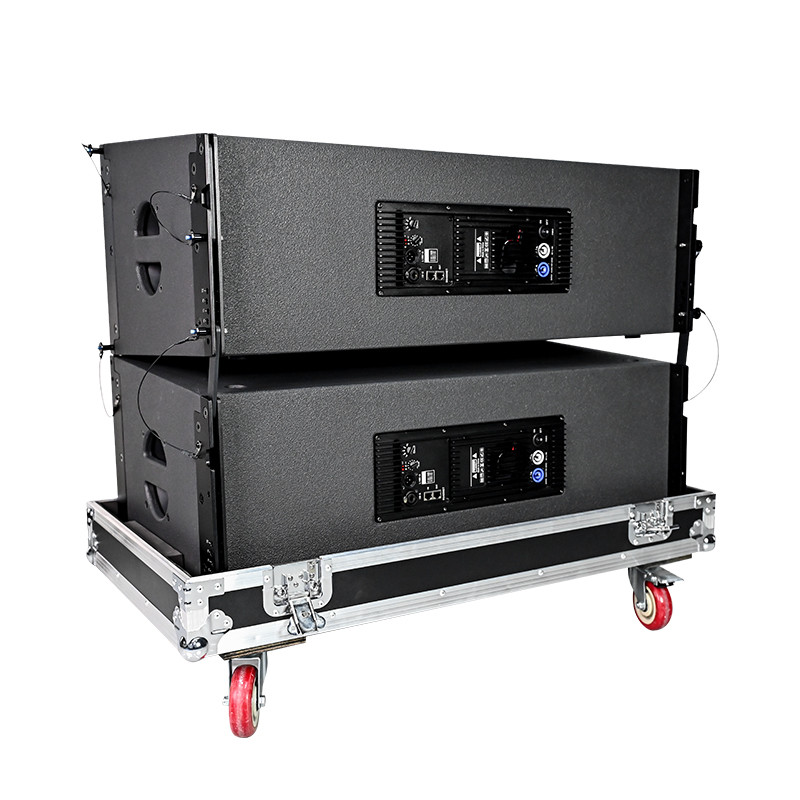 dual 12-inch line array speaker