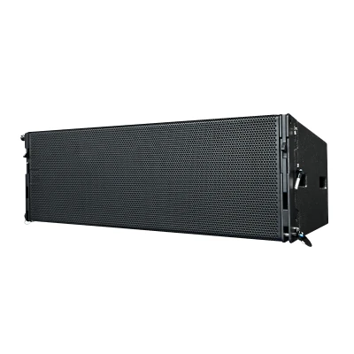 WL12 Double 12 inch Bi-amp Line Array Passive Speaker