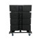 WL12 Double 12 inch Bi-amp Line Array Passive Speaker