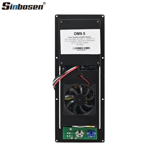 DM9.5 FIR function 900W+500W 2 channel Active Amplifier module with DSP processor
