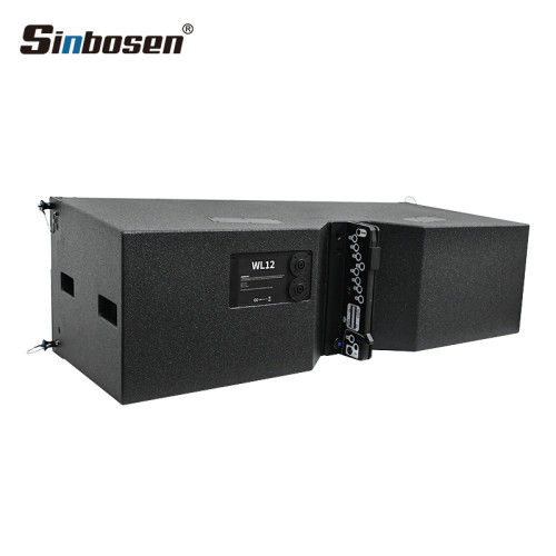 WL12 Altoparlante passivo Line Array doppio biamplificato da 12 pollici