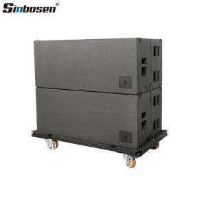 Supergraves doble subwoofer de 18 pulgadas para eventos en interiores y exteriores