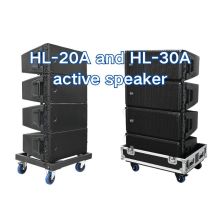 HL-20A vs HL-30A: Selection Guide for Dual 10-Inch Line Array Speakers