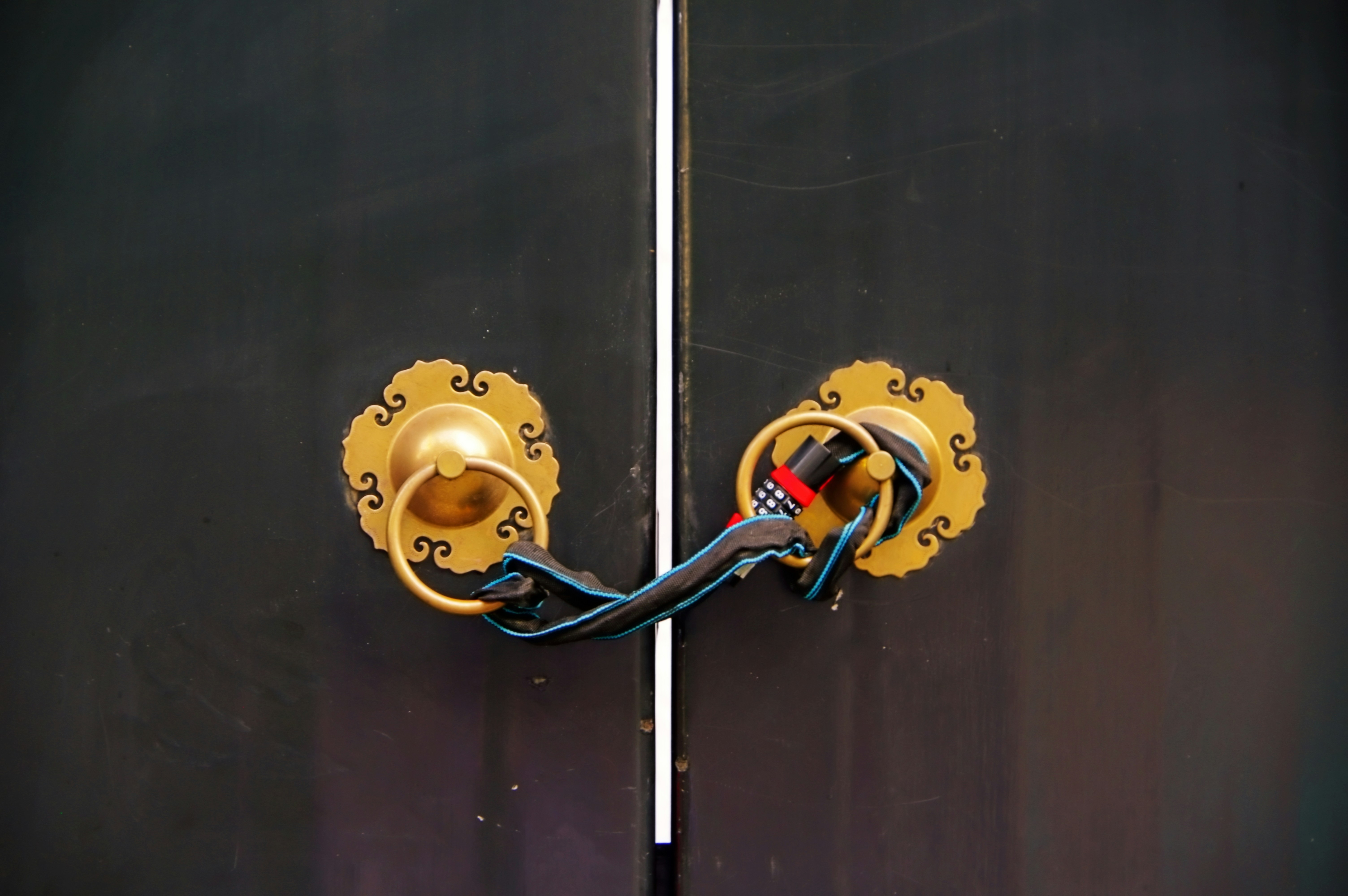 A pair of professional speaker cables terminated with red and black color-coded banana plugs.