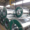 Hot Sale & High Quality Galvanized Steel Coil