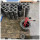 Shougang brand CRGO Transformer Magnetic Grain Oriented Electrical Steel