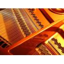 Music Spring Steel Wire Manufacturer