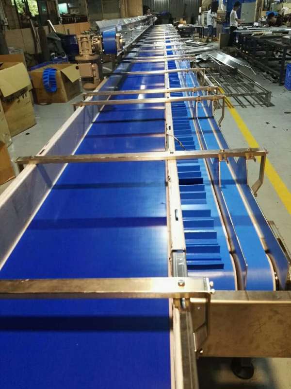 Trasportatore a nastro blu per lavaggio acqua di grado alimentare per vendita 4 canali di trasmissione