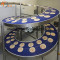 screw conveyors food conveyor system