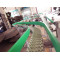 Factory material handling plastic flex conveyor system