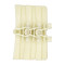 XB175 Plastic Flexible Plain Chains: High-Quality Conveyor Components for Global Distributors