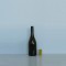 Burgundy red wine glass bottle/Screw Cap Sealing Type glass bottle for red wine