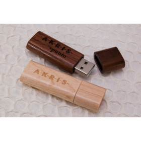 Promotion gifts USB Flash Drive