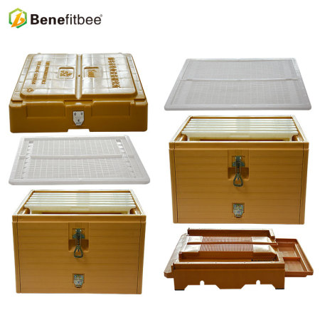 Hot Sales Beekeeping Tools Manufactures Plastic Flow Hive Langstroth Beehive For China Beekeeping Supplies China Beehives Manufacturer Shenzhen Benefitbee Bee Industry Co Ltd,Teddy Bear Hamster Babies