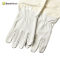 Manufacture Customized Canvas Beekeeper Use Sting Proof Best Beekeeping Gloves For Beekeeping Equitment