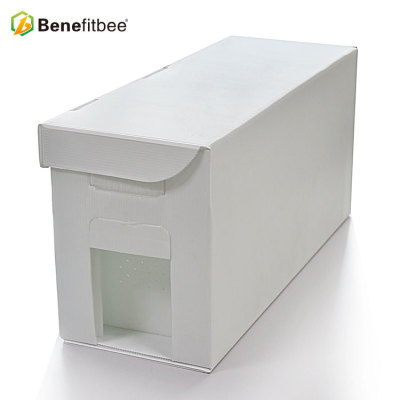 Plastic Material Beekeeping Kit High Quality 5 Frames Beehive For Beekeeping Supplies Benefitbee