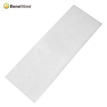 Beehive honey combs OEM 15.75*5.75inch Thin White PP Honey Combs For Beehive Accessories Benefitbee