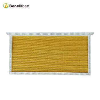 Beehive honey combs 16.7*4.92inch Raw Beewax White PP Honey Comb For Beehive Accesssories Benefitbee