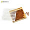 High Quality Beekeeping Equtiment Plastic 110 Brown Queen Rearing Box For Beekeeping Reaing