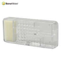 Professional PP Beekeeping Equitment Transparent Queen Bee Cage For Queen Rearing