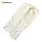 Beekeeping Equitment White Canves Beekeeper Use Protestive Gloves For Profeessional Beekeeping Supplies