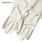 Wholesales Promotional Leatheroid Beekeeping Tools Protective Gloves