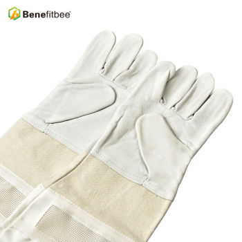 Beekeeping Equitement American-type Screen Cloth Protective Gloves