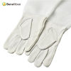 Wholesales Length Screen Cloth Protective Glovers For Beekeeping Tools
