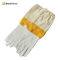 New Style Short-type Beekeeping Yellow Screen Cloth Protective Gloves