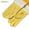 New Design American Breathable Screen Colth Protective Gloves For Beekeeping Tools