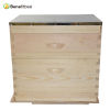 Australian style beehive box kit bee hive with China fir Material
