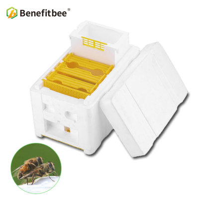 Benefitbee Beekeeping tool equipment mini mating box bee breeding box