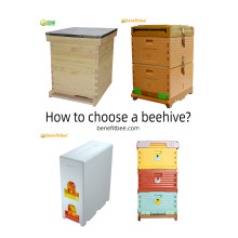 How to choose a beehive?
