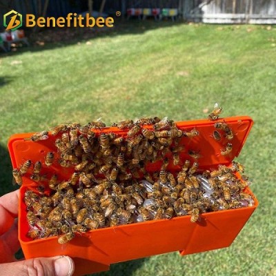 Benefitbee Plastic Queen Bee Protection Box  For Queen Rearing
