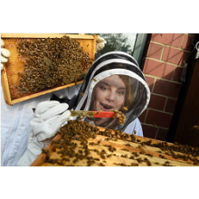 Beekeeping is all the buzz in New York City