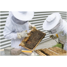 Scientists appeal for honey samples from Scottish beehives