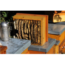 How to use a bee smoker?