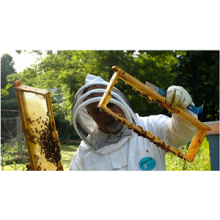 5 reasons why beekeeping is awesome!