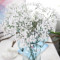Home Decoration Crafts Gypsophila Artificial Flower Export Artificial Plant
