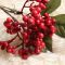 Artificial flower Christmas bean branch wholesale berry single branch fake flower wedding home decoration