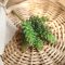 Artificial 7-head Fruit String Indoor Plant Wall Micro Landscape Artificial Succulent Home Decor Office Decor