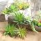 Artificial Dajian Leaf Indoor Plant Wall Micro Landscape Artificial Succulent Home Decor Office Decor