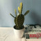 RESUP Tropical Artificial Cactus