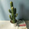 RESUP Tropical Artificial Cactus