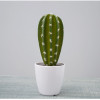 RESUP Artificial Cactus Succulent - 19cm Tall