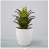 RESUP Artificial Cactus Succulent - 17cm Tall