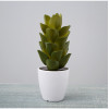 RESUP Artificial Cactus Succulent - 20cm Tall