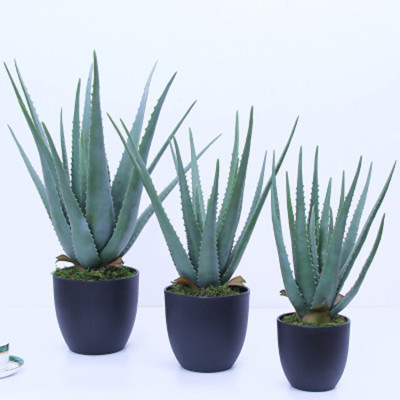 RESUP Artificial Aloe Vera Potted - 45~65cm Tall