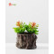 RESUP ARTIFICIAL SUCCULENT POTTED